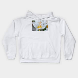 Crocus sieberi  &#39;Bowles&#39;s White&#39; Kids Hoodie